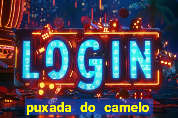 puxada do camelo jogo do bicho