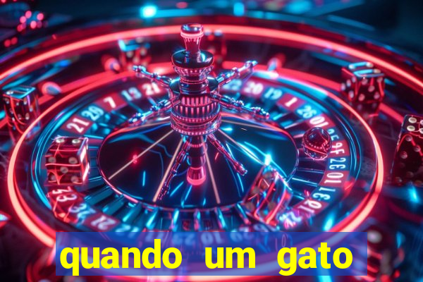 quando um gato aparece do nada significado espiritual