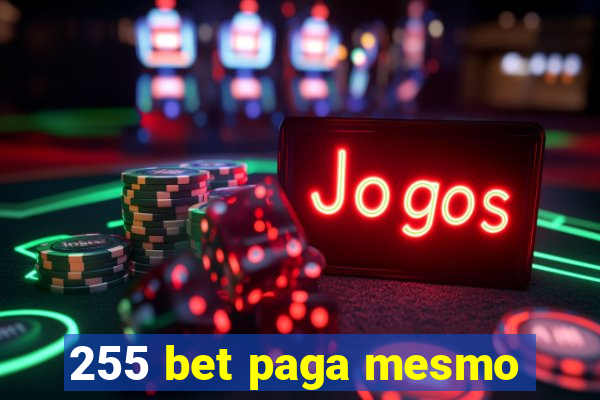 255 bet paga mesmo