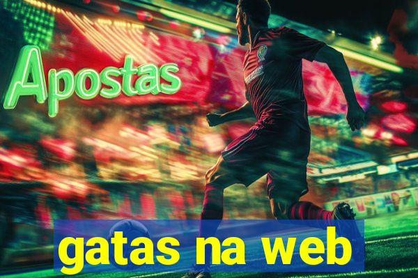 gatas na web
