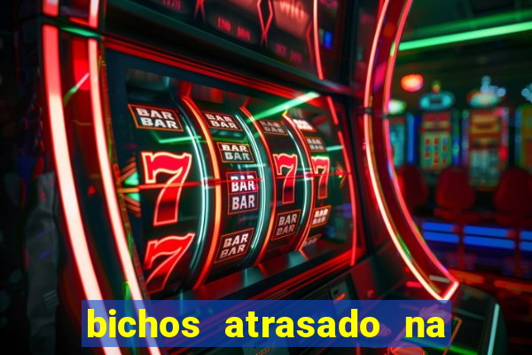 bichos atrasado na loteria dos sonhos