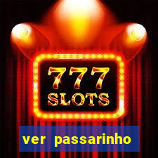 ver passarinho morto significado espiritual