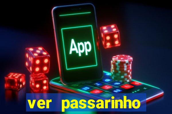 ver passarinho morto significado espiritual