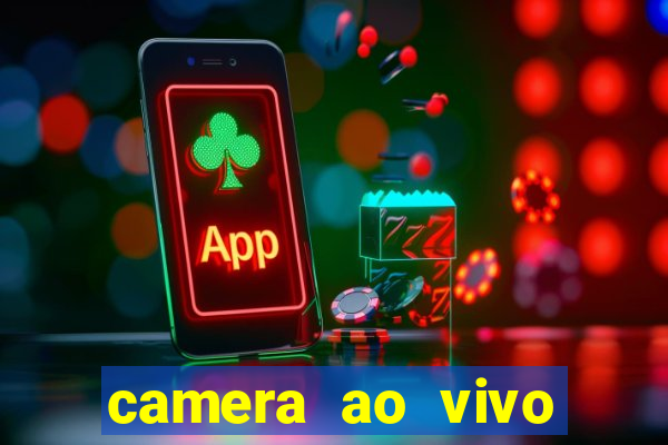 camera ao vivo porto de galinhas