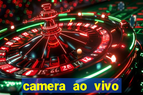 camera ao vivo porto de galinhas