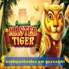 acompanhantes em guanambi