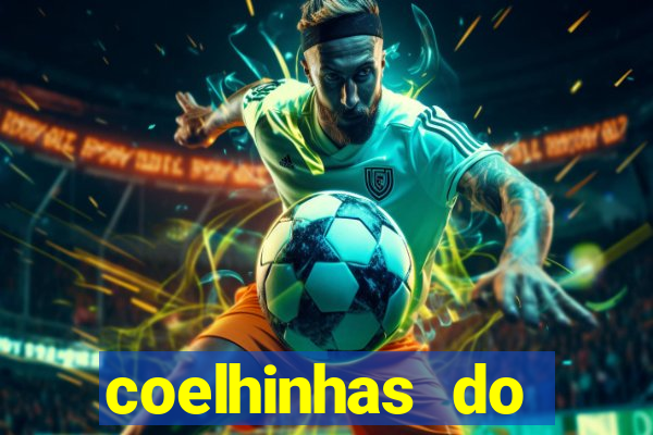 coelhinhas do brasil recife