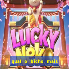 qual o bicho mais velho da loteria dos sonhos