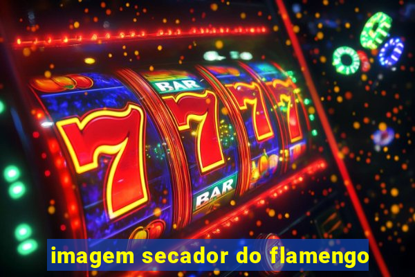 imagem secador do flamengo