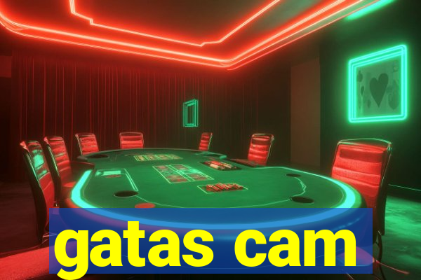 gatas cam
