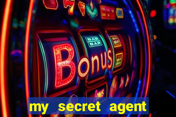 my secret agent husband legendado