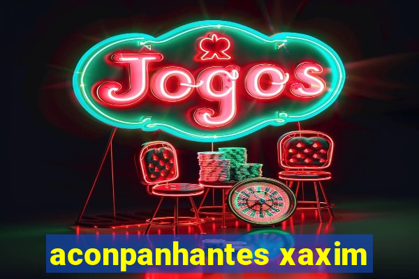 aconpanhantes xaxim