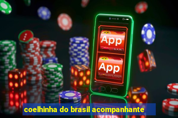 coelhinha do brasil acompanhante