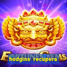 hodgins recupera sua fortuna