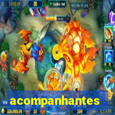acompanhantes transex santos