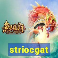 striocgat