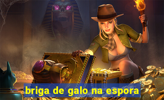 briga de galo na espora