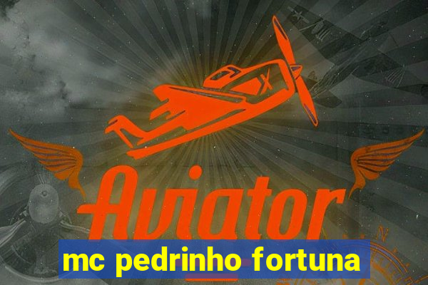 mc pedrinho fortuna