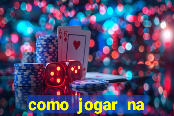 como jogar na lotinha do jogo do bicho