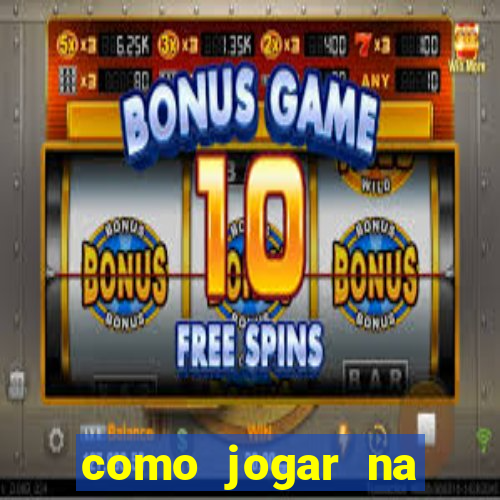 como jogar na lotinha do jogo do bicho