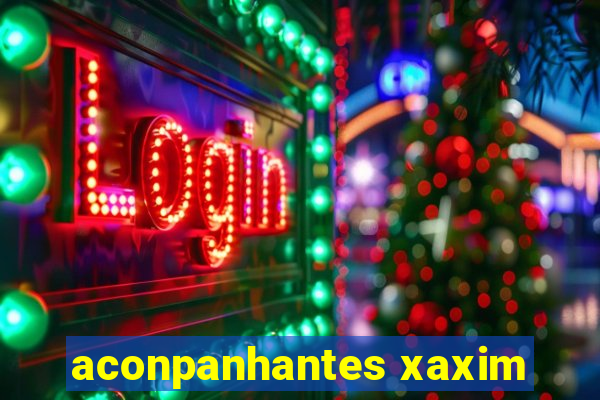 aconpanhantes xaxim