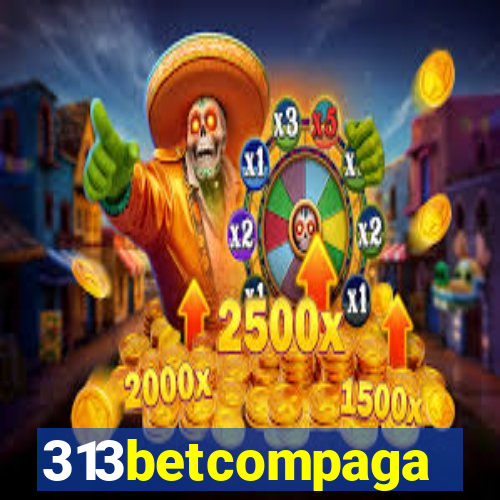 313betcompaga