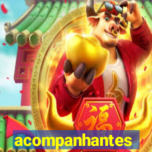 acompanhantes masculino pvh