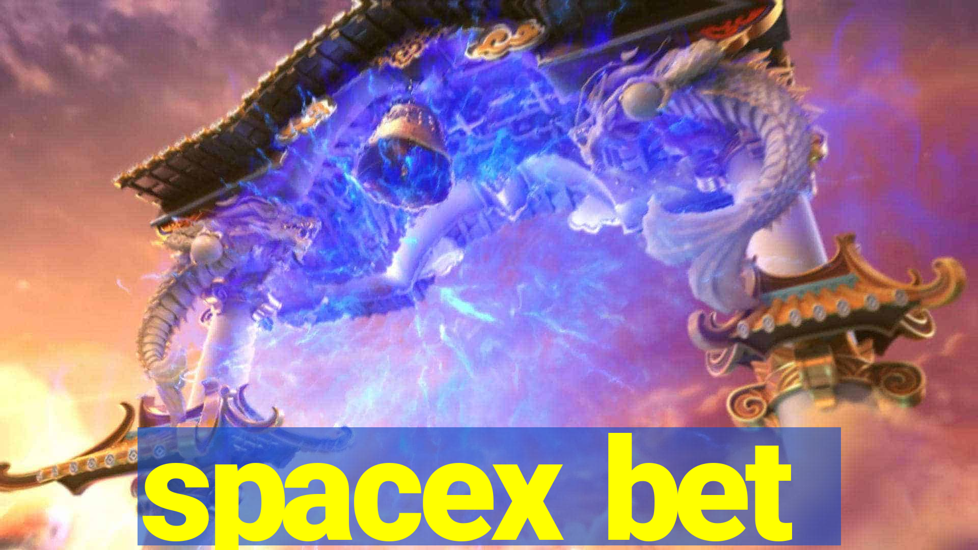 spacex bet