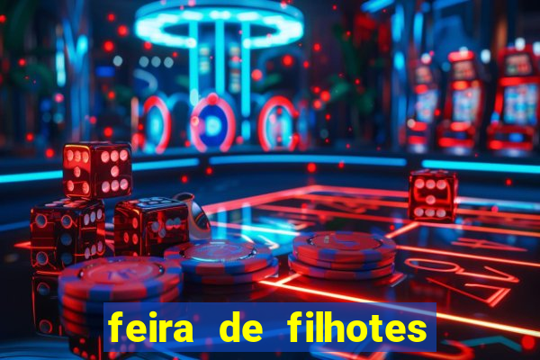 feira de filhotes porto alegre