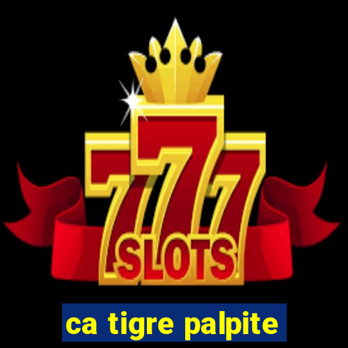 ca tigre palpite