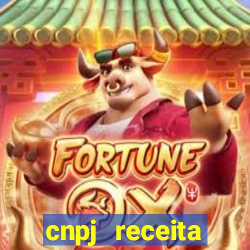 cnpj receita federal cadastro