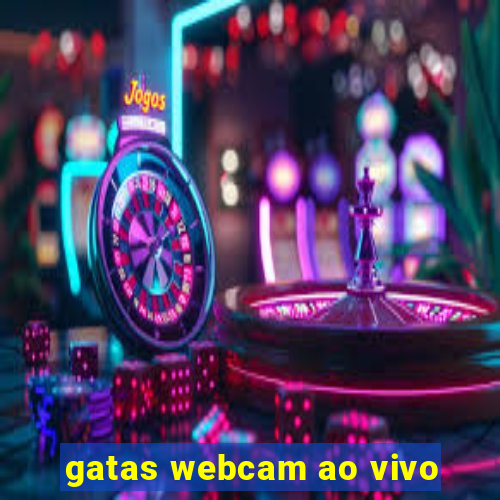 gatas webcam ao vivo
