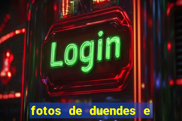 fotos de duendes e gnomos reais