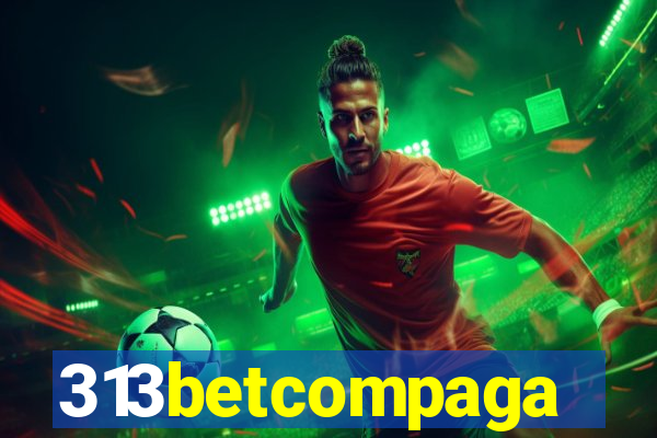 313betcompaga