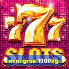 mini grua 1000kg