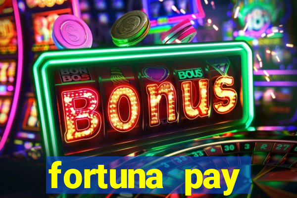 fortuna pay consultoria financeira ltda