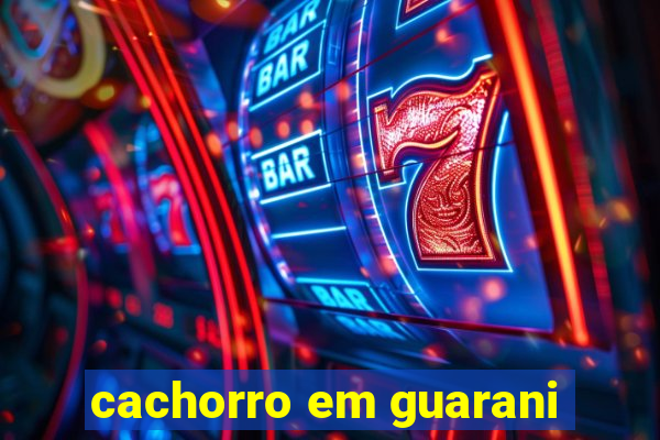 cachorro em guarani