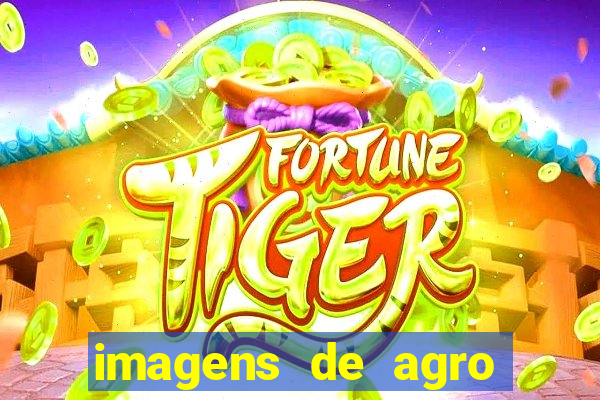 imagens de agro racoes guarani