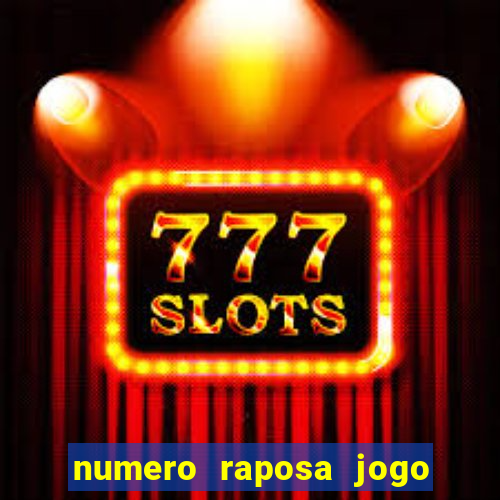 numero raposa jogo do bicho
