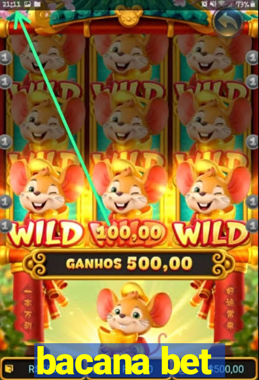 bacana bet