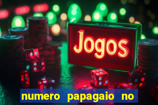 numero papagaio no jogo do bicho
