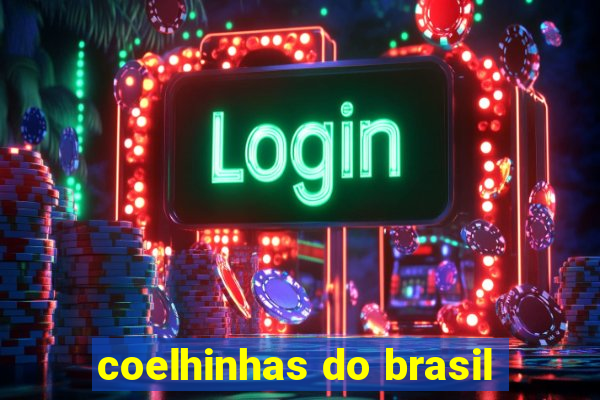 coelhinhas do brasil