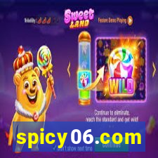 spicy06.com