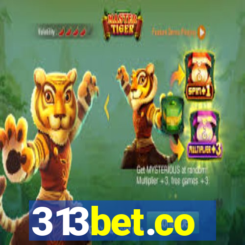 313bet.co