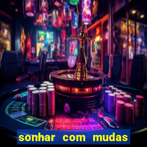sonhar com mudas de plantas