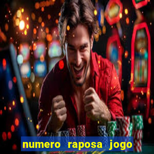 numero raposa jogo do bicho